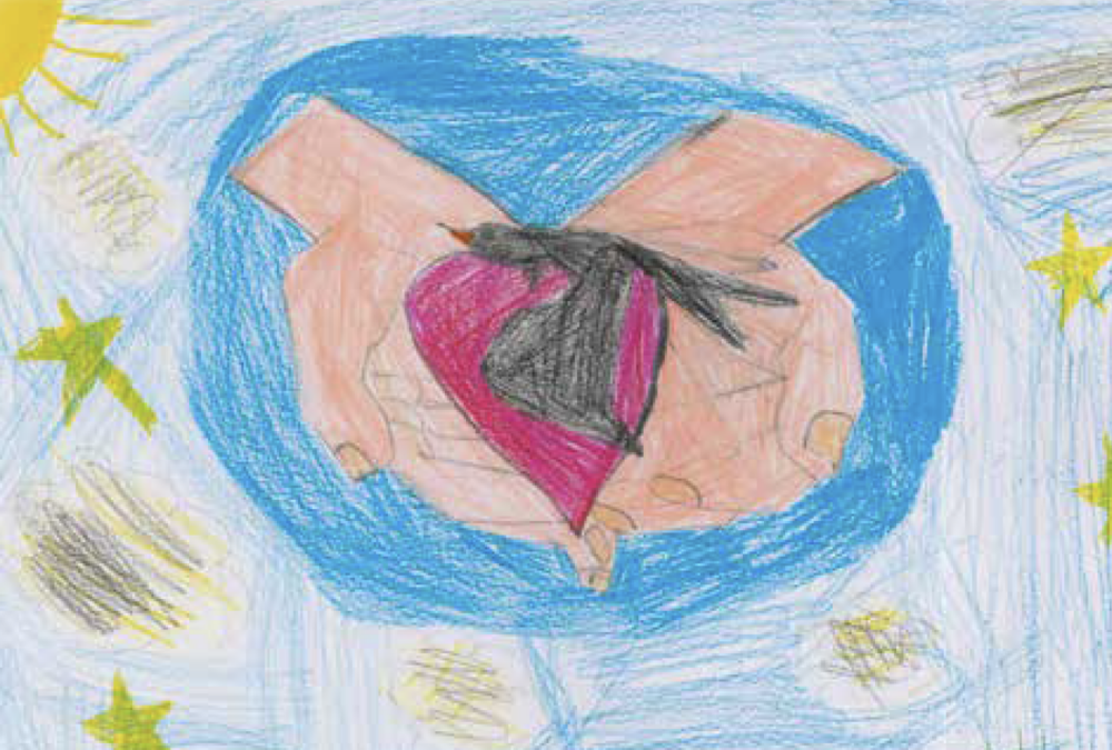 Drawing shows two hands cradling an injured bird against an abstract blue and yellow background.